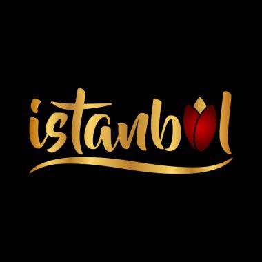 İstanbul logo, simge ve simge vektör çizim
