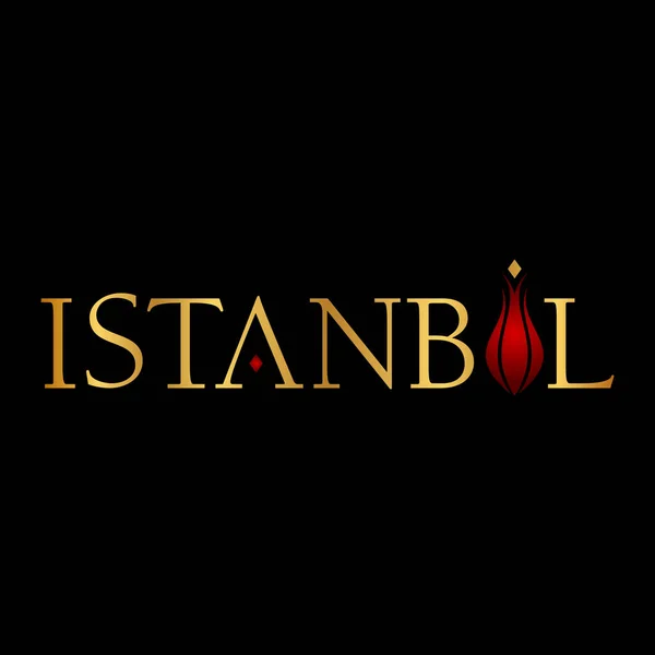 Logotipo de Estambul, icono e ilustración de vectores de símbolos — Archivo Imágenes Vectoriales