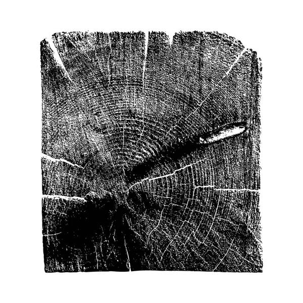Кільце з дерева, колода, дерев'яний стовбур. Форма прямокутника — стоковий вектор