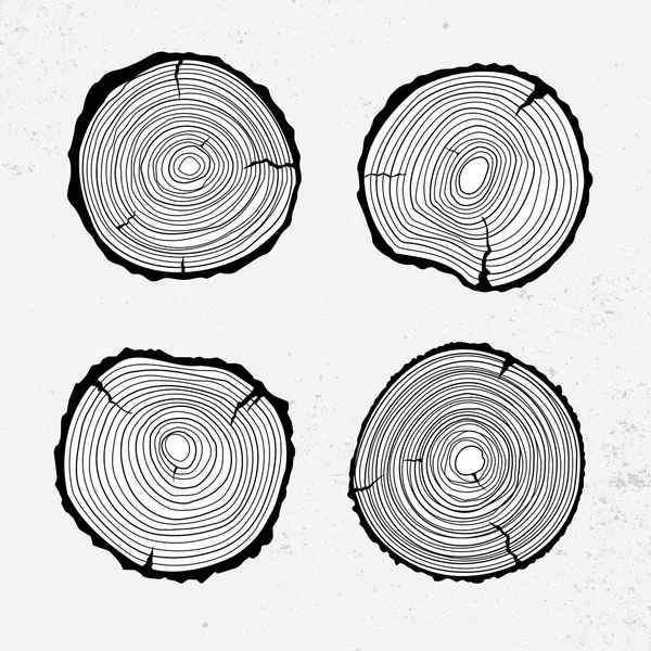 Secção transversal do tronco de árvore — Vetor de Stock