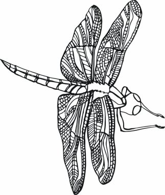 Yusufçuk vektörü siyah beyaz