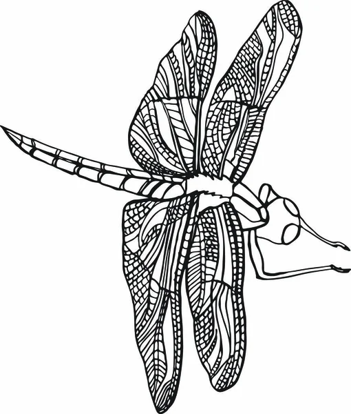 Yusufçuk vektörü siyah beyaz