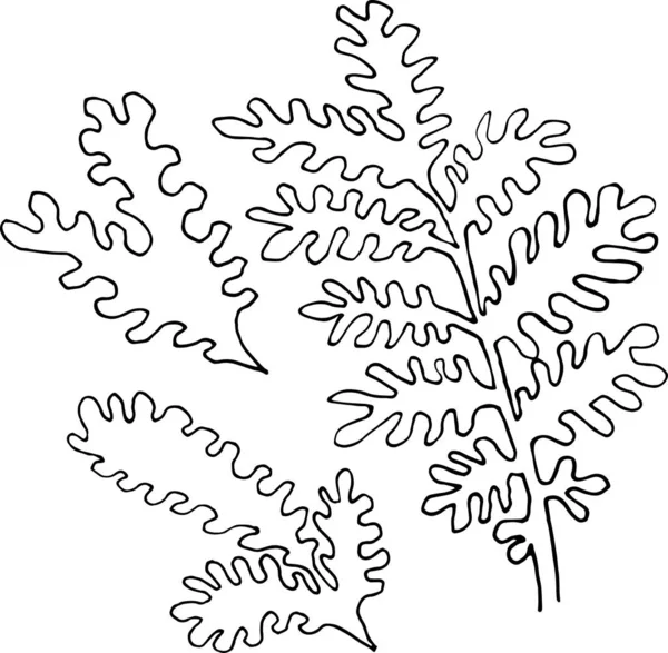 Beyaz arka planda izole edilmiş vektör el yapımı bitkiler. Kart, davet, tasarım, ambalaj, kumaş için buket ögeleri.