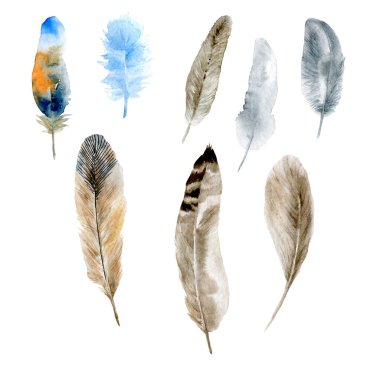 Tüyler suluboya boyalı tüyler. El yapımı nesneler beyaz arka planda izole edilmiş. Tasarım, ambalaj, kumaş ve tekstil için elementler