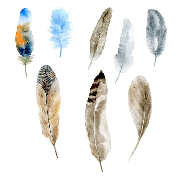 Tüyler suluboya boyalı tüyler. El yapımı nesneler beyaz arka planda izole edilmiş. Tasarım, ambalaj, kumaş ve tekstil için elementler