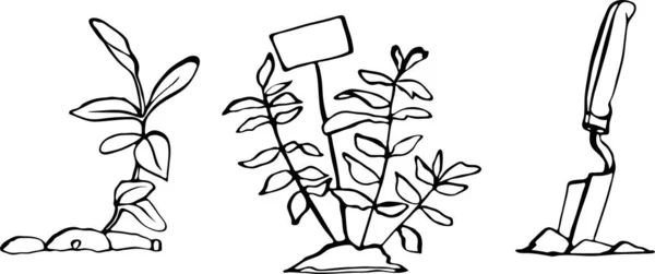 Bahçıvanlık 5 Vektör el çizilmiş bahçe seti beyaz arka planda izole. Tasarım, ambalaj, kumaş elementleri.