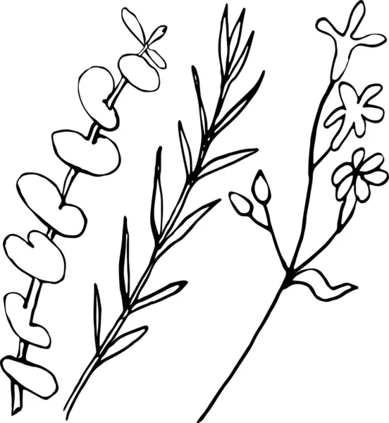 Bitki-1 Vektör eli beyaz arka planda bitkiler çizdi.