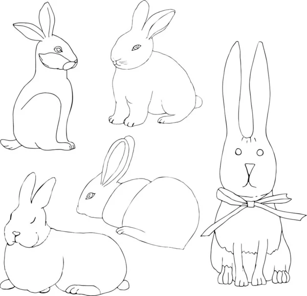 Beyaz arka planda izole edilmiş tavşanlar çizilmiş. Fiyonklu tavşan. Tavşan 5