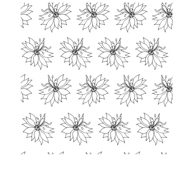 Nigella çiçekleriyle kusursuz bir desen. Beyaz arka planda çizgi çiçekleri. Çiçek deseni 2