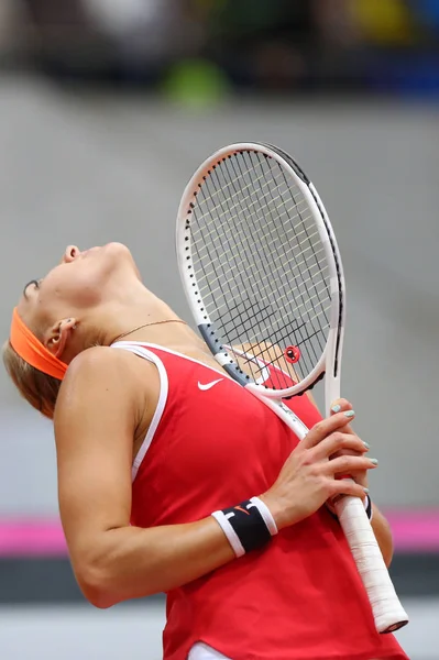 FedCup "Russie-Belgique" - Vesnina Elena émotion — Photo