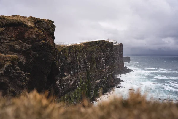 Latrabjarg klippor på norra Island — Stockfoto