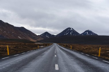Kuzey İzlanda 'da yol manzarası