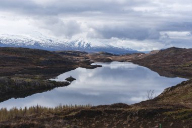 Yansıtıcı gölün yanındaki küçük huş ağacı ormanı.