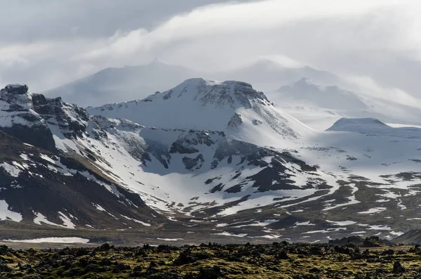 Moss with the Glacier in the distance 2018 — 스톡 사진