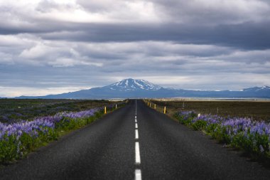 Hekla Volkanı Yolu Temmuz 2018