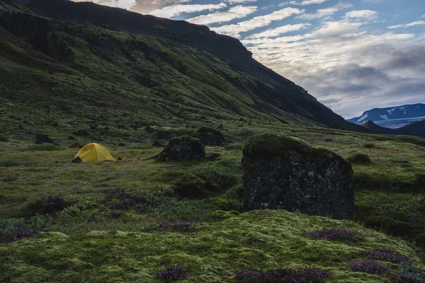 Yellow camping tent in an open moss field during sunrise. Shot on adventure in Icelandic highlands — 스톡 사진
