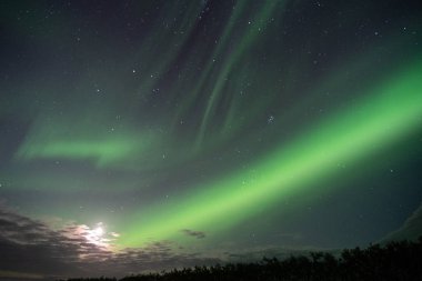 Aurora Borealis Northern lights over Icelandic sky clipart