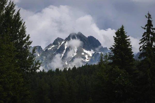 斯洛伐克夏季的塔特拉山高山 — 图库照片