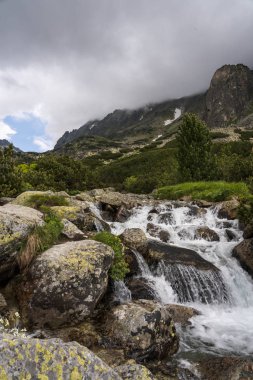 Yüksek Tatras dağlarındaki nehir akıntısı