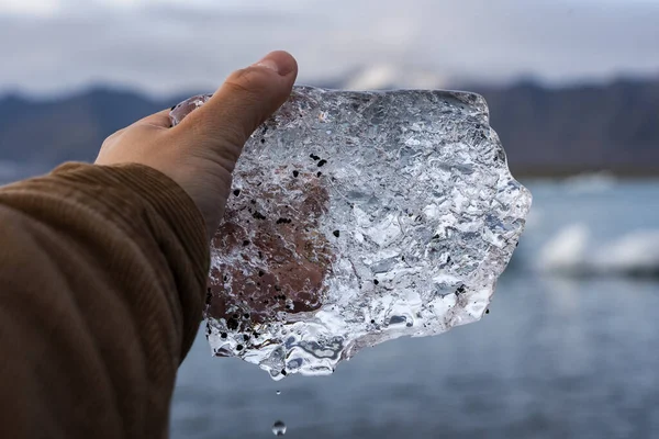 2019年10月冰岛东部钻石海滩手持冰片 免版税图库照片