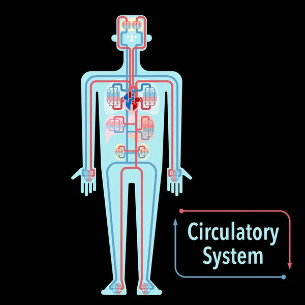 Banner Del Sistema Cardiovascolare Sfondo Nero Semplicemente Illustrazione Vettoriale — Vettoriale Stock