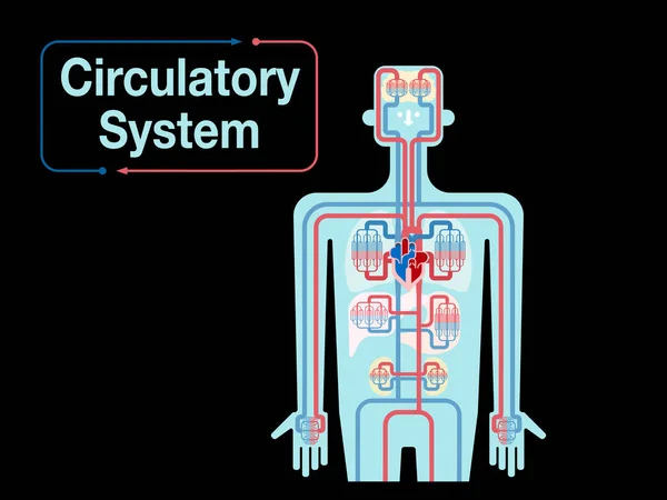 黒の背景に心血管系のバナー 単にベクトル図 — ストックベクタ