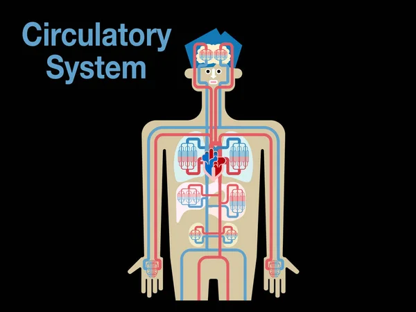 Banner Sistema Cardiovascular Fundo Preto Simplesmente Ilustração Vetorial —  Vetores de Stock