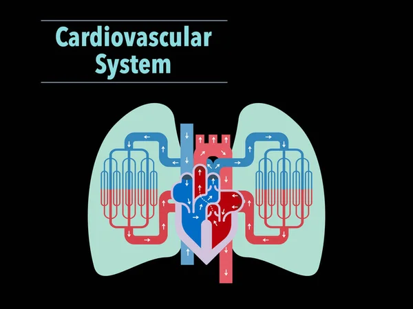 Банер Серцево Судинної Системи Просто Векторна Ілюстрація — стоковий вектор