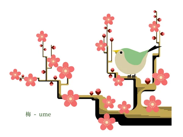 Ume Blumen Auf Weißem Hintergrund Einfach Vektorillustration — Stockvektor