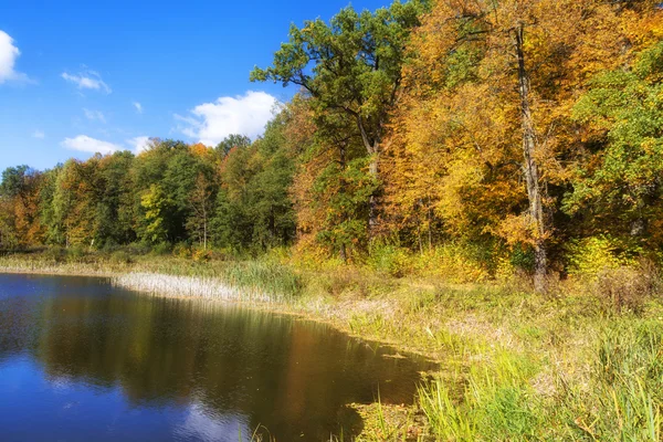 Autumn sunny landscape with forest nature, colorful autumn landscape, nature background, beautiful reflection from the water.