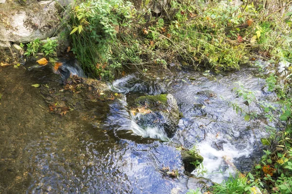 Landscape of creek in the path, autumn forest, first autumn colors, water flow, nature creek flow, mini waterfall, creek background.