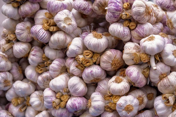 Fondo de ajo rojo fresco, comida saludable — Foto de Stock