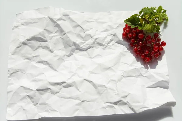 Groseille rouge sur fond blanc, aliments sains, fruits frais, fond papier froissé . Photos De Stock Libres De Droits