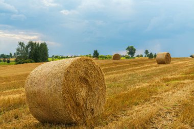 Saman balya. Yaz aylarında buğday sarı altın hasat. Göl üzerinde arka plan ile güzel manzara.