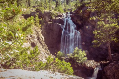 Colorado 'daki Fish Creek Şelalesinin yukarısında.