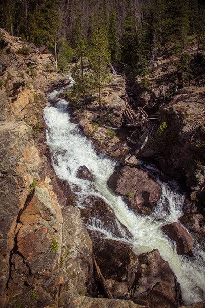 Adams Falls Cachoeira Que Flui Através Desfiladeiro Parque Nacional Montanha — Fotografia de Stock