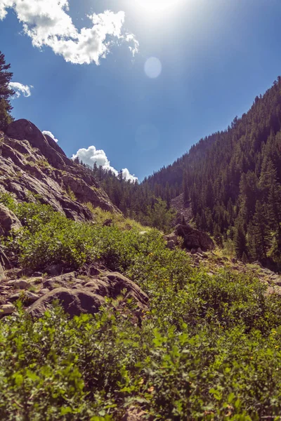 コロラド州のフィッシュクリーク滝近くの岩だらけの地形と木で覆われた丘 — ストック写真