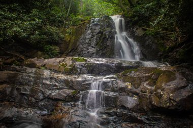 Laurel Falls - Great Smoky Dağları Ulusal Parkı 'nda bir şelale