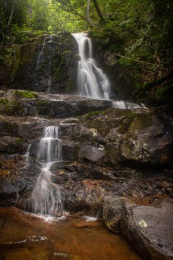 Laurel Falls - Great Smoky Dağları Ulusal Parkı 'nda bir şelale