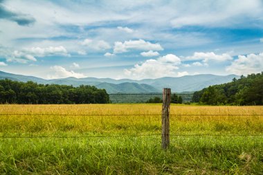 Great Smoky Dağları Ulusal Parkı 'ndaki Cades Koyu' nda arazi, çit ve dağlar.