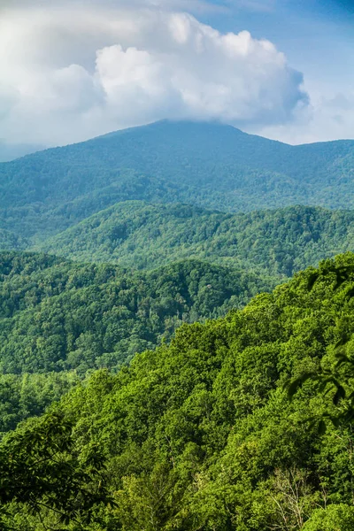 Büyük Smoky Mountain Ulusal Parkı Nın Dağlarının Üzerinde Bulutlar Sis — Stok fotoğraf