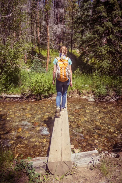 Woman Crossing Stream Forest Rocky Mountain National Park — Stock Photo, Image