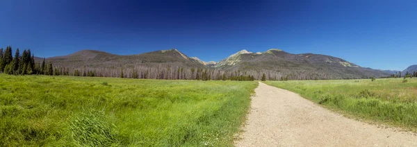 Meadow path through a valley in Rocky Mountain National Park, forested mountains in distance