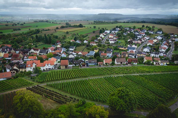 ドイツ シンハイム郊外のワイラーのブドウ畑でワインブドウの列 — ストック写真