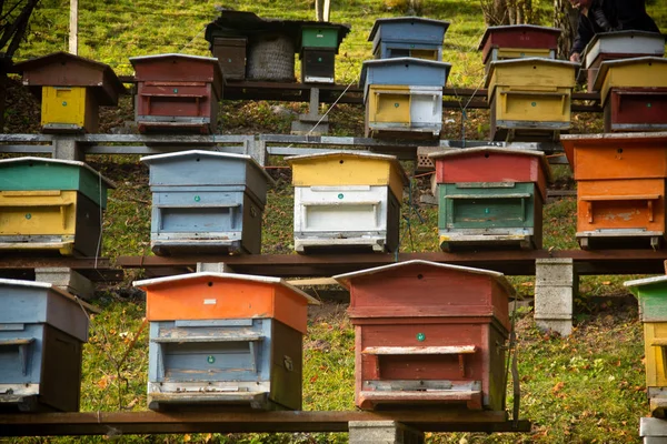 Reihen Bunter Bienenstöcke Hang Eines Hügels — Stockfoto