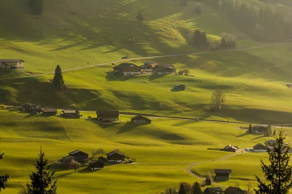 スイスアルプスで緑の牧草地を転がし木が並ぶ — ストック写真