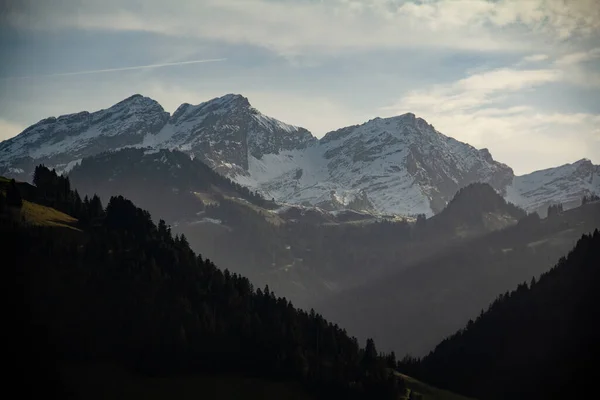 Montañas Nevadas Los Alpes Suizos Con Árboles Siluetas Primer Plano — Foto de Stock