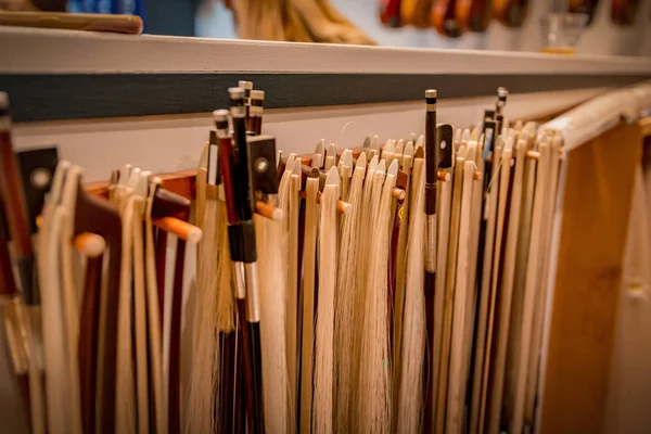 Many Violin Bows Hanging Violin Repair Shop — Stock Photo, Image