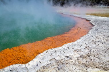 Yeni Zelanda 'nın Waiotapu bölgesinde şampanya havuzu jeotermal havuzu