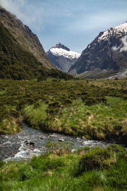 Fiordland Ulusal Parkı, Yeni Zelanda 'daki yeşil tarlalar ve karlı dağlar